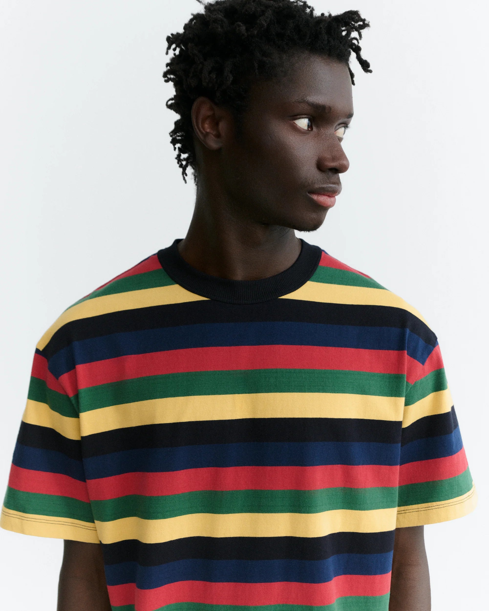 Multicolour Stripe Aaron T Shirt