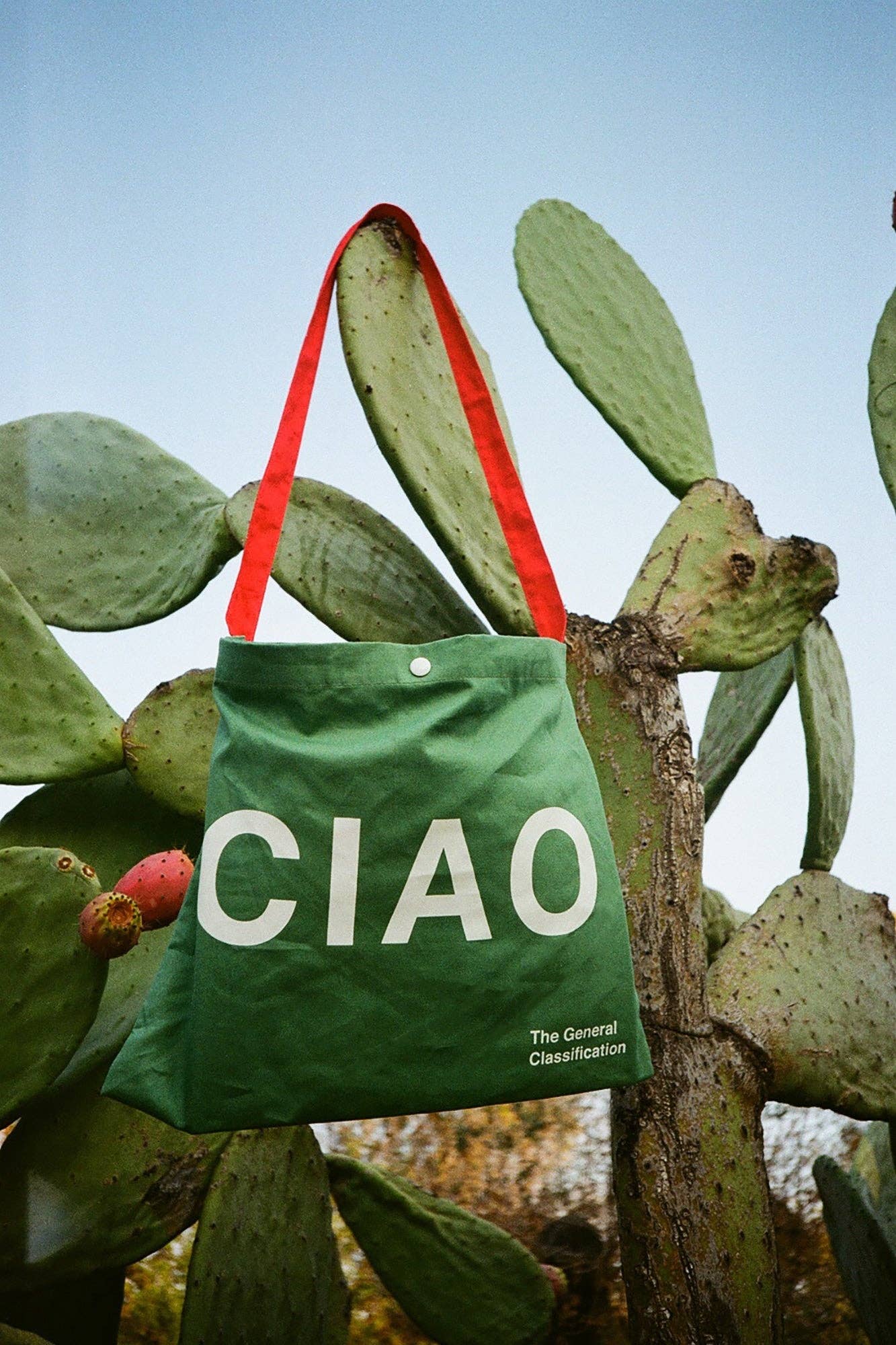 Ciao Musette