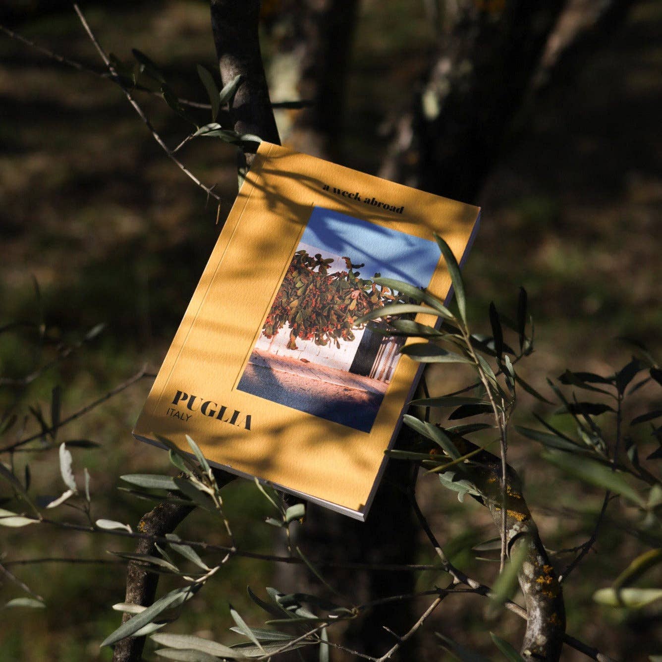 Puglia, Italy