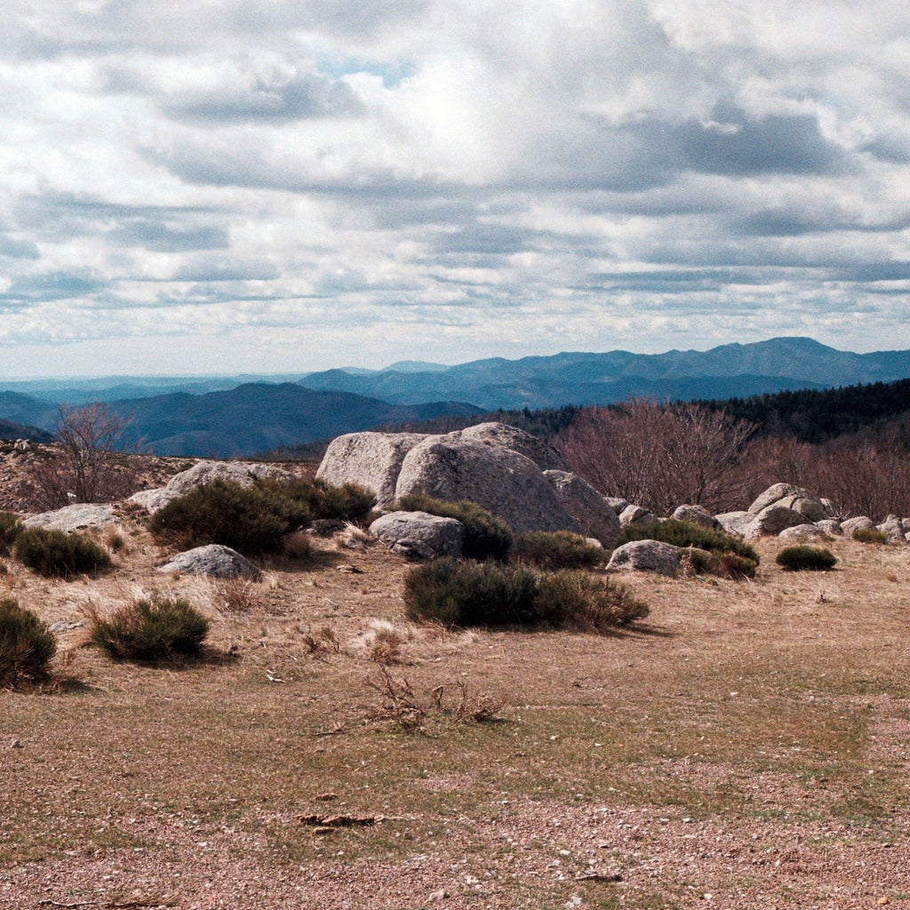 Cevennes France
