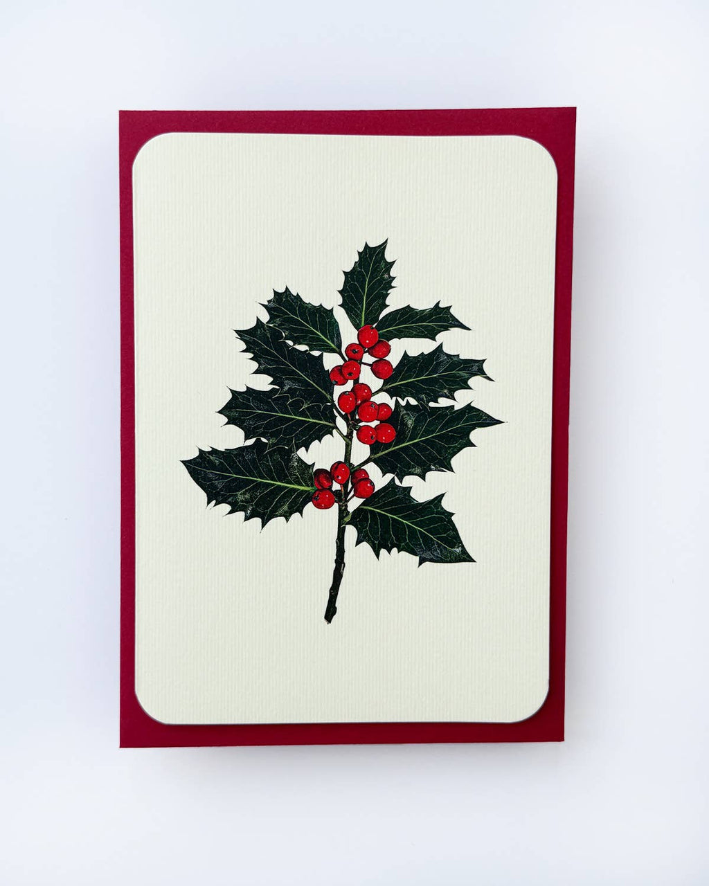 Christmas Holly Christmas Greeting Card
