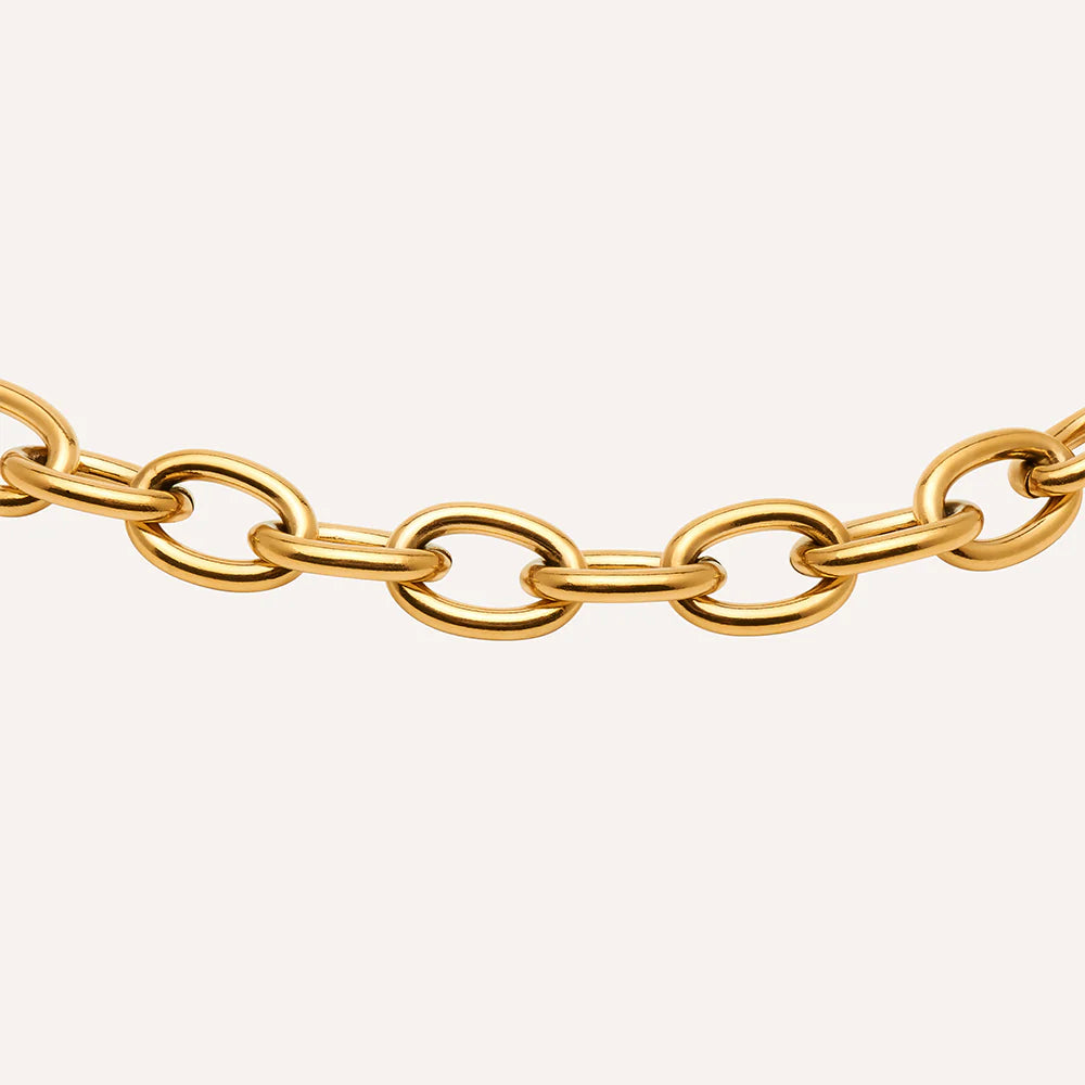 Gold Thick Chain Necklace