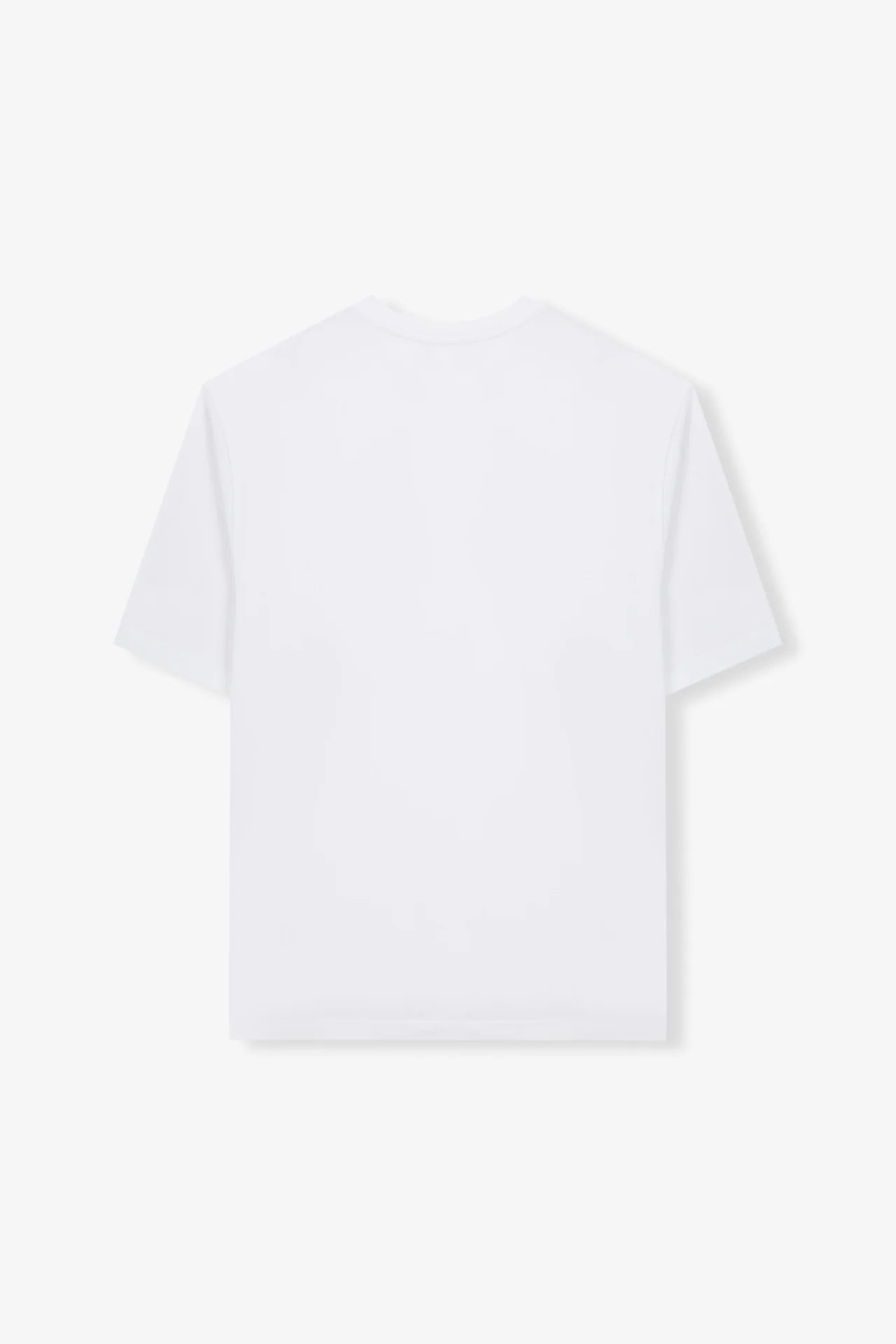 Basic White T Shirt