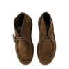 Chestnut Ewaldi