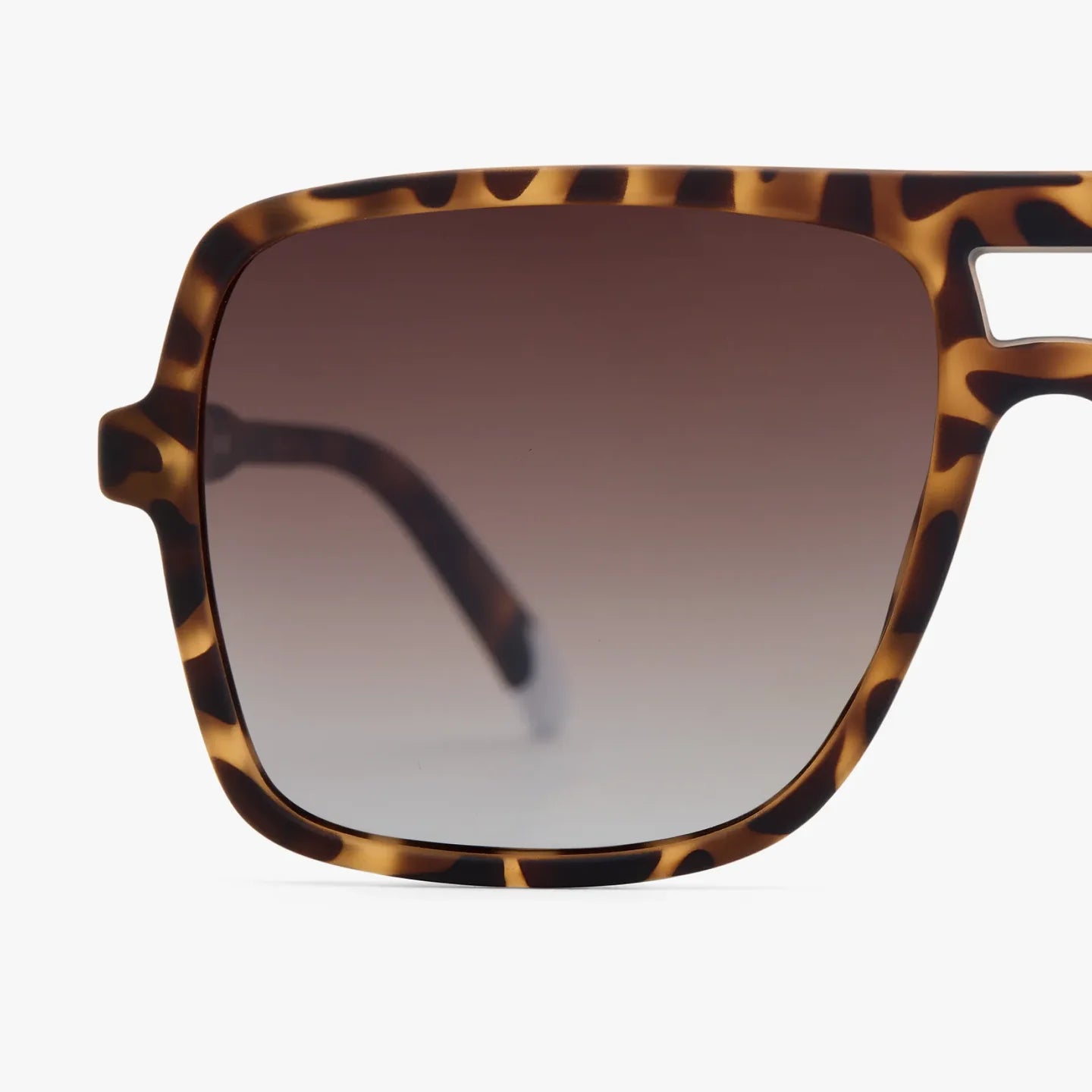 Jake Matte Tortoise Sunglasses