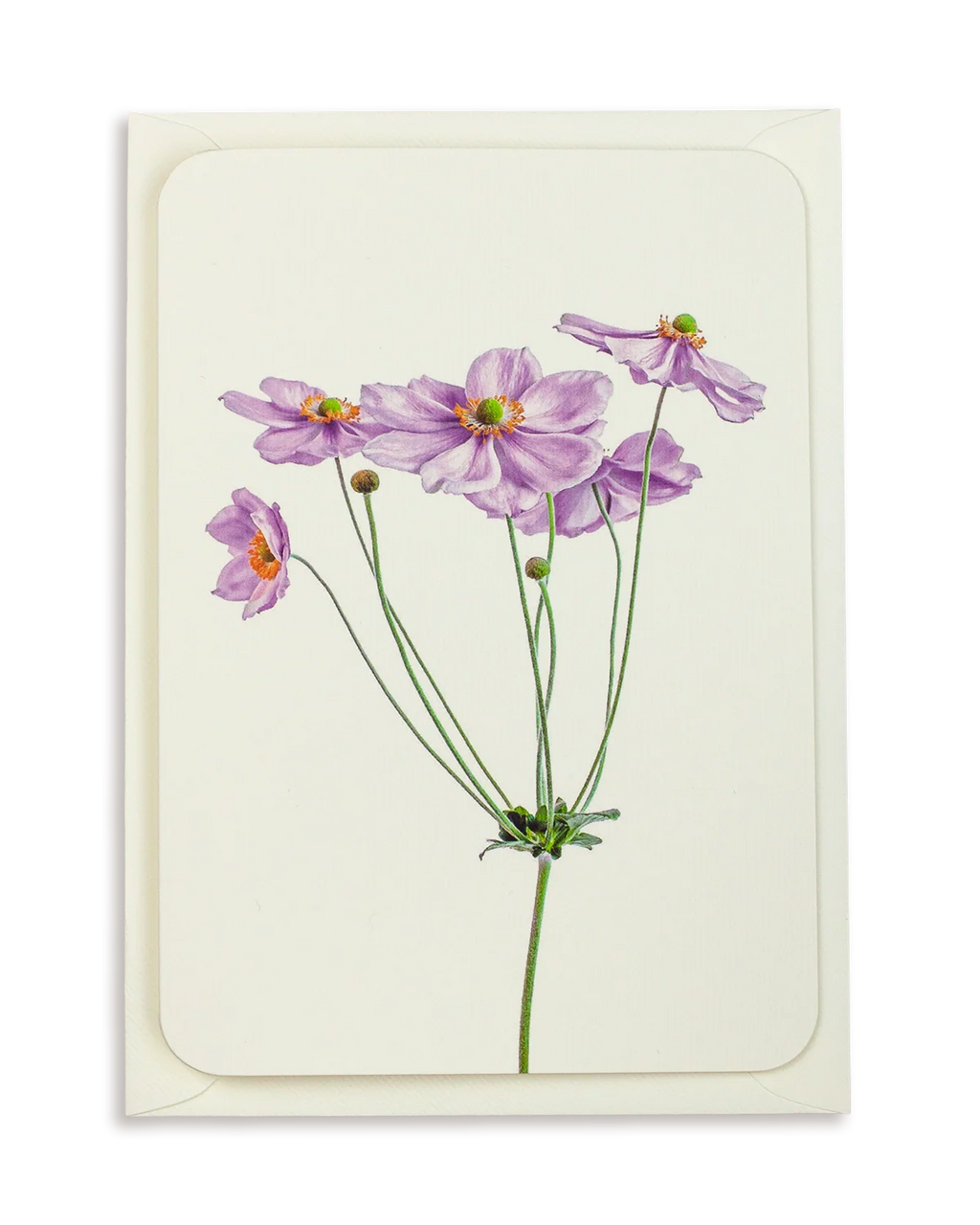 Anemone Greeting Card