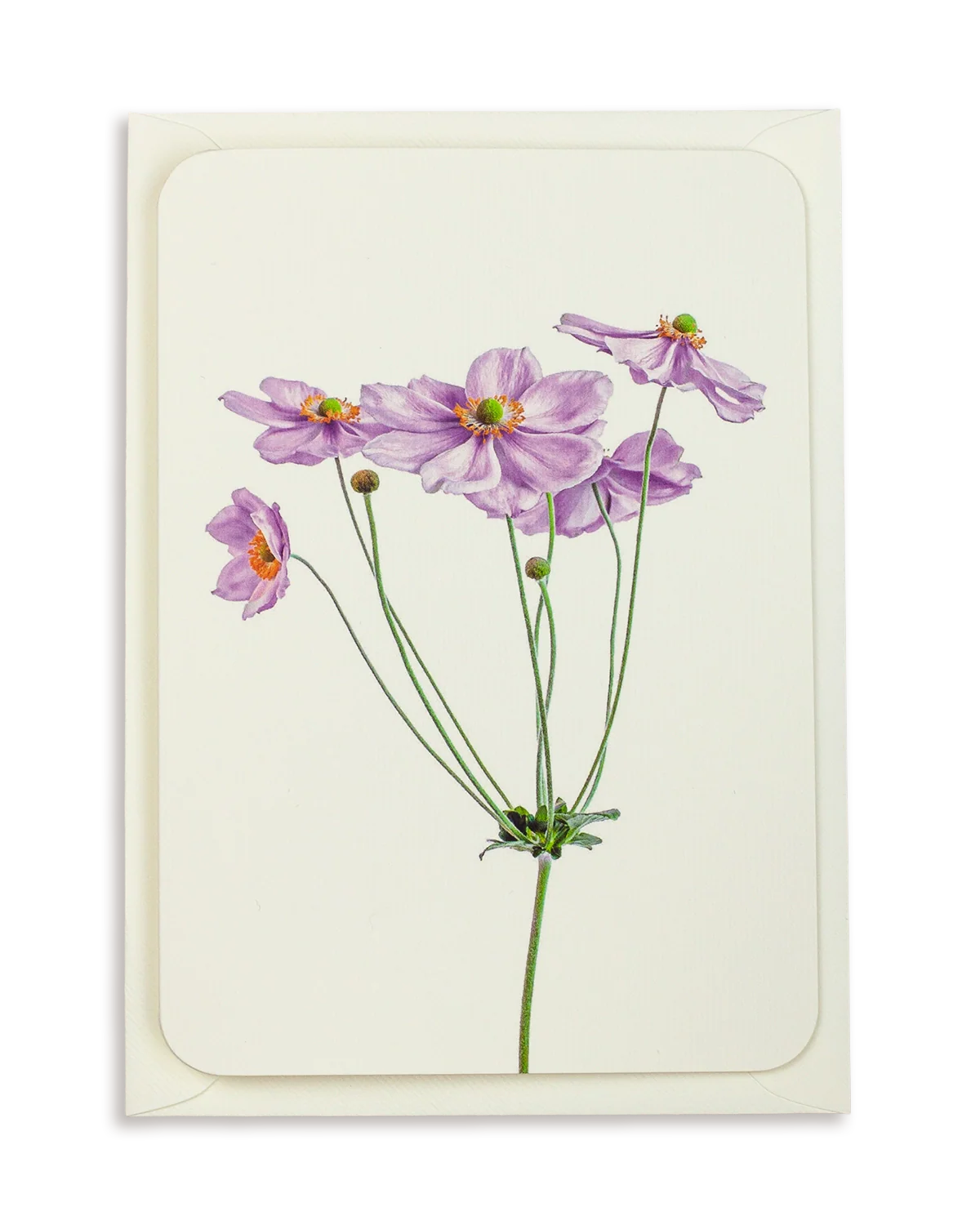 Anemone Greeting Card