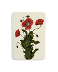 Wild Poppies Greeting Card