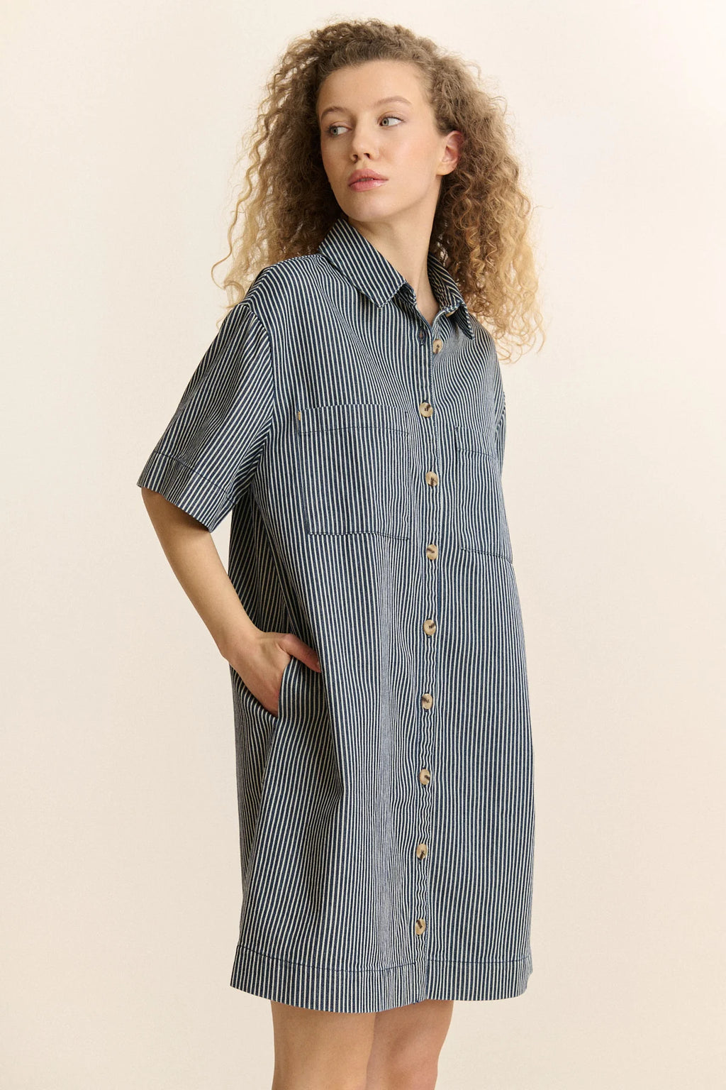 Denim Striped Dress