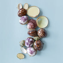 Lavender + Mint Lip Balm: Purple Cowry Shell
