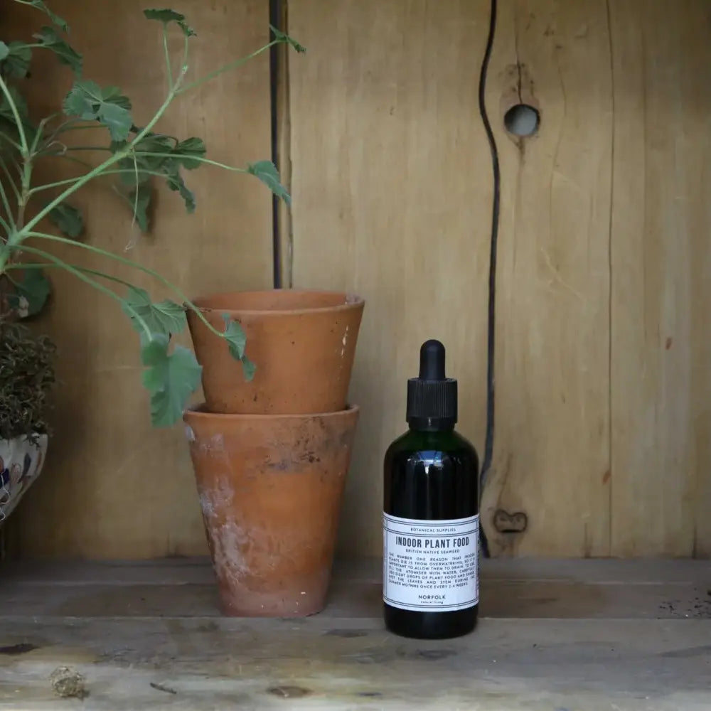 Indoor Plant Food - 100ml