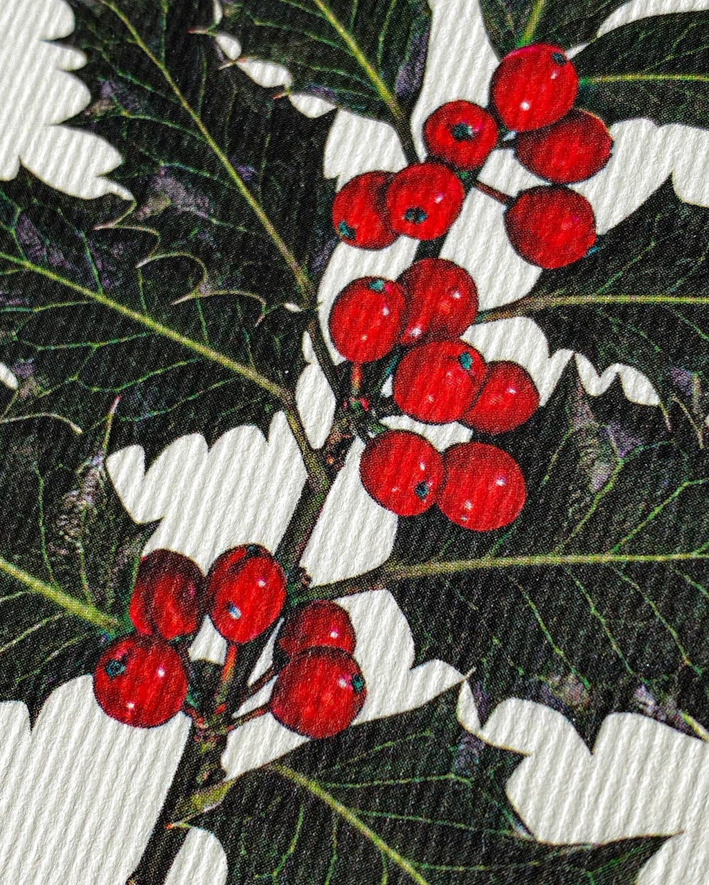 Christmas Holly Christmas Greeting Card