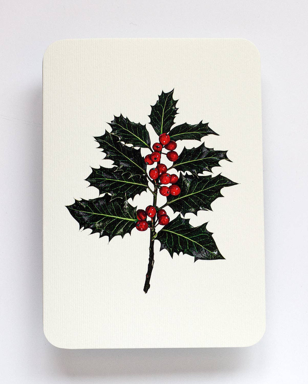 Christmas Holly Christmas Greeting Card