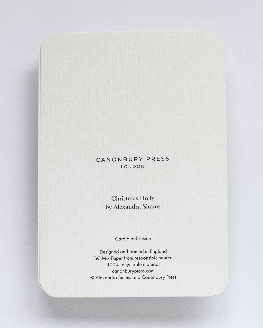 Christmas Holly Christmas Greeting Card