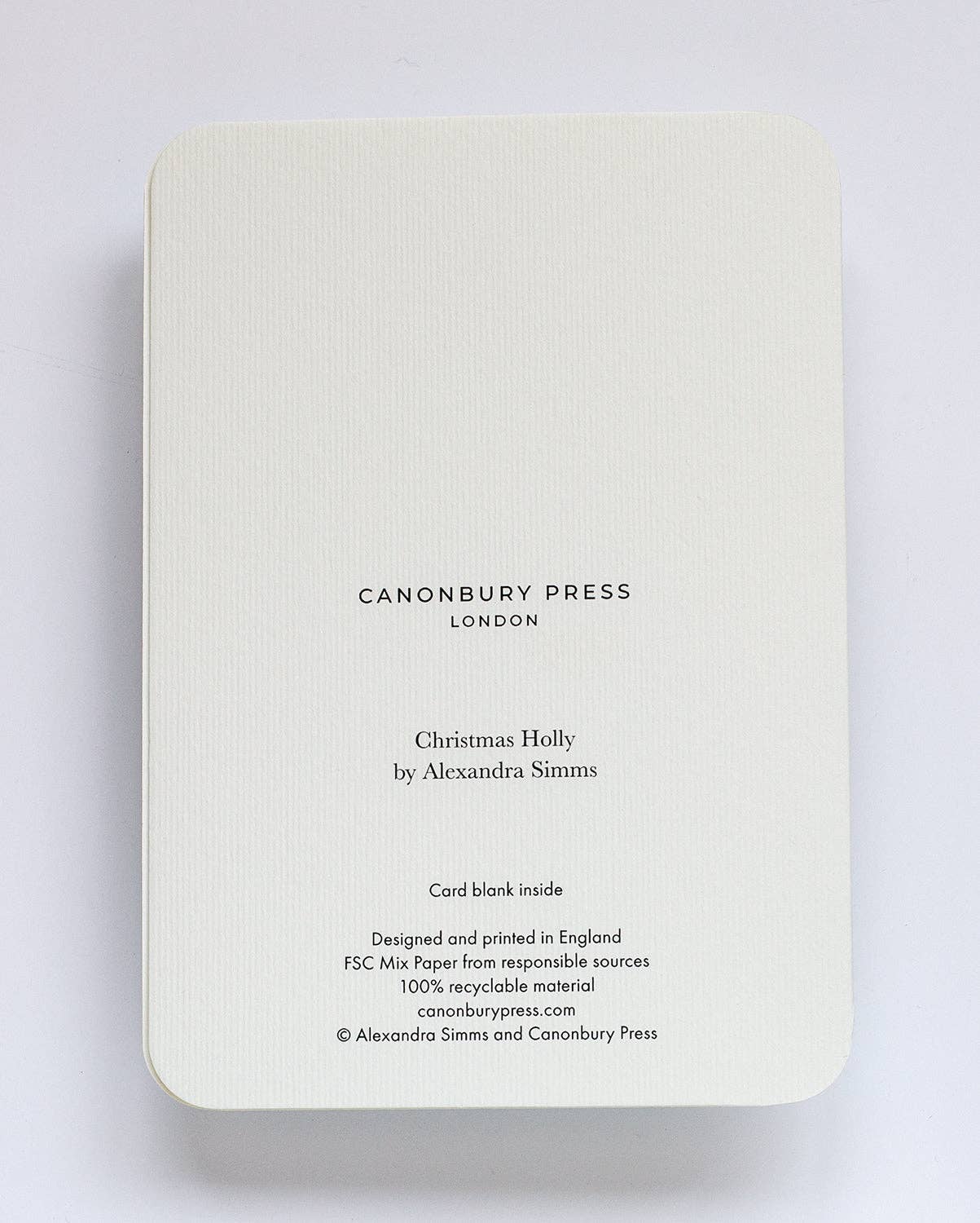 Christmas Holly Christmas Greeting Card