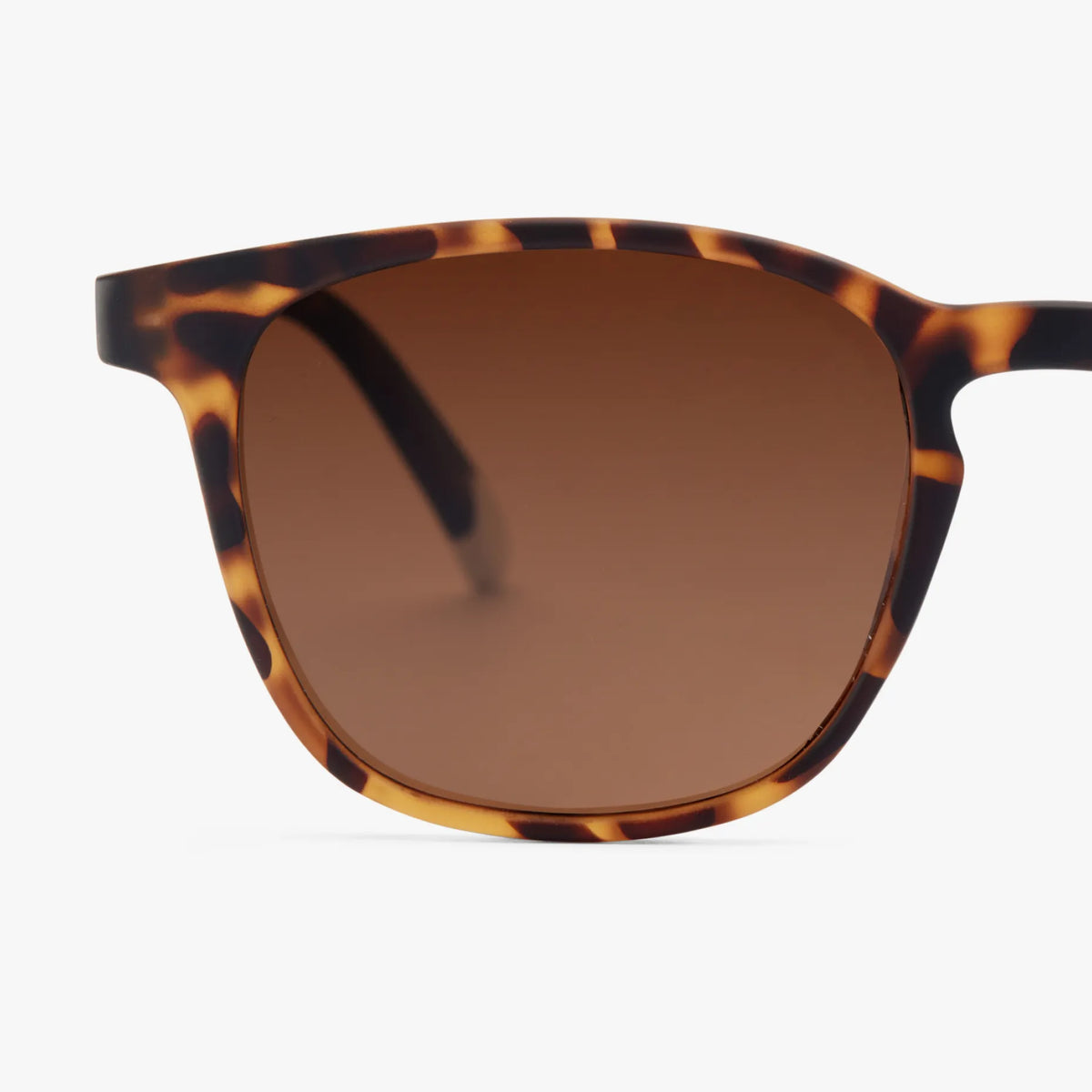 Dalston Matte Tortoise Sunglasses