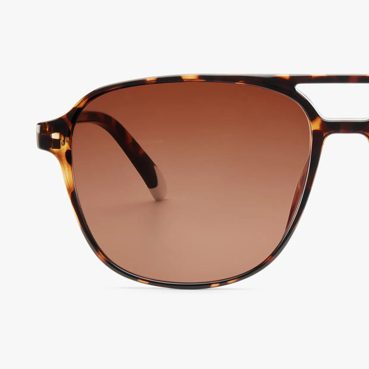 Brad Tortoise Sunglasses