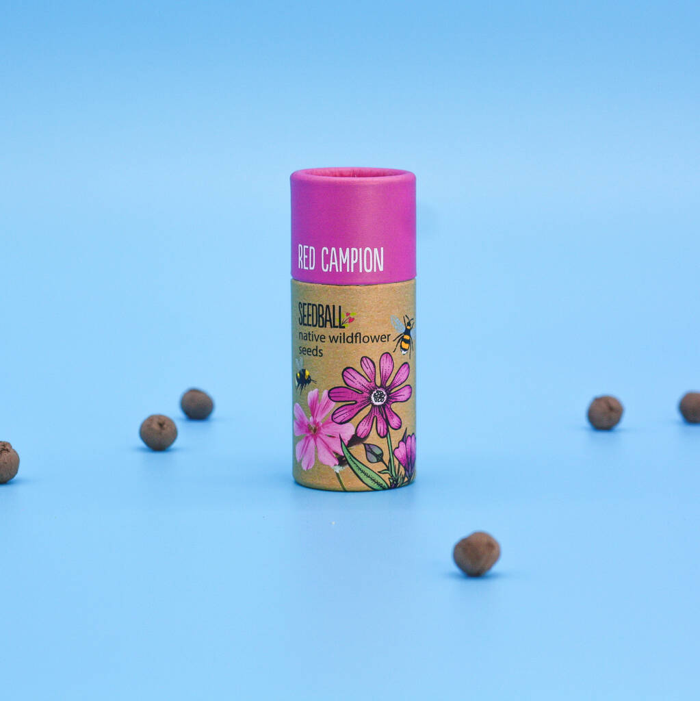 Seedball Red Campion