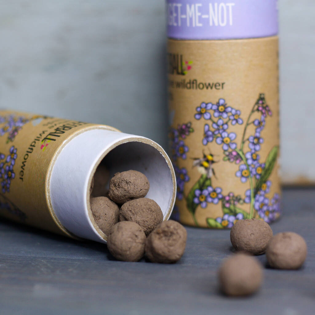 Seedball Forget-Me-Not